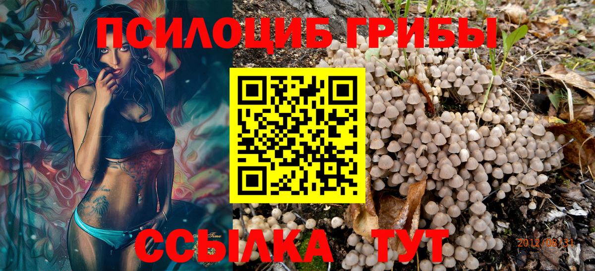 Галлюциногенные грибы мицелий  Вход с VPN  закладки  Галлюциногенные грибы мицелий  Мытищи 
